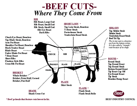 beef cuts diagram